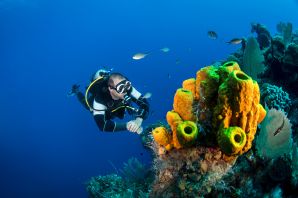Boat Dive